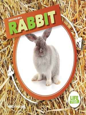cover image of Life Cycle of a Rabbit